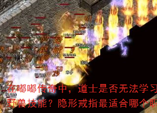 在嘟嘟传奇中,道士是否无法学习召唤野兽技能?隐形戒指最适合哪个职业? 在嘟嘟传奇中,道士是否无法学习召唤野兽技能?隐形戒指最适合哪个职业?