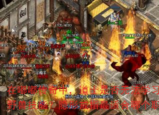 在嘟嘟传奇中,道士是否无法学习召唤野兽技能?隐形戒指最适合哪个职业? 在嘟嘟传奇中,道士是否无法学习召唤野兽技能?隐形戒指最适合哪个职业?