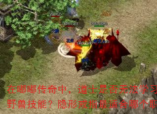 在嘟嘟传奇中,道士是否无法学习召唤野兽技能?隐形戒指最适合哪个职业? 在嘟嘟传奇中,道士是否无法学习召唤野兽技能?隐形戒指最适合哪个职业?