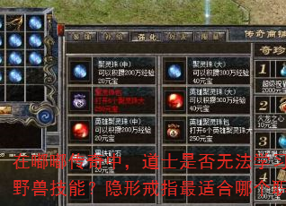 在嘟嘟传奇中,道士是否无法学习召唤野兽技能?隐形戒指最适合哪个职业? 在嘟嘟传奇中,道士是否无法学习召唤野兽技能?隐形戒指最适合哪个职业?