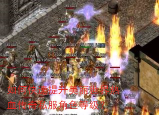 如何快速提升美丽世界热血传奇私服角色等级? 如何快速提升美丽世界热血传奇私服角色等级?
