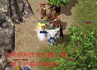如何辨别传奇私服正服?新手必看攻略指南 如何辨别传奇私服正服?新手必看攻略指南