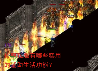 传奇私服有哪些实用的辅助生活功能? 传奇私服有哪些实用的辅助生活功能?