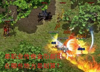 单职业传奇金币都花在哪些地方最划算? 单职业传奇金币都花在哪些地方最划算?