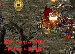 单职业传奇金币都花在哪些地方最划算? 单职业传奇金币都花在哪些地方最划算?