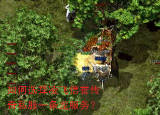 如何选择凌飞信誉传奇私服一条龙服务? 如何选择凌飞信誉传奇私服一条龙服务?