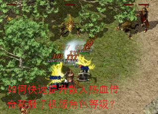 如何快速提升散人热血传奇私服手机版角色等级? 如何快速提升散人热血传奇私服手机版角色等级?