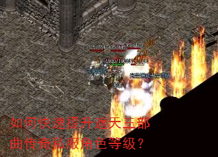 如何快速提升遮天三部曲传奇私服角色等级? 如何快速提升遮天三部曲传奇私服角色等级?