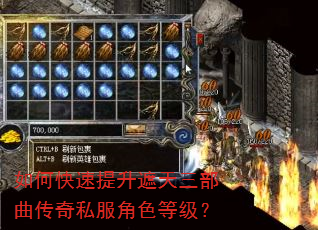 如何快速提升遮天三部曲传奇私服角色等级? 如何快速提升遮天三部曲传奇私服角色等级?