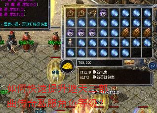 如何快速提升遮天三部曲传奇私服角色等级? 如何快速提升遮天三部曲传奇私服角色等级?