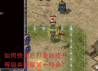 如何快速在打金服提升等级并赚取第一桶金? 如何快速在打金服提升等级并赚取第一桶金?