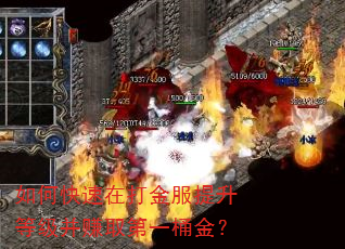 如何快速在打金服提升等级并赚取第一桶金? 如何快速在打金服提升等级并赚取第一桶金?