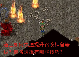 道士如何快速提升召唤神兽等级?装备选择有哪些技巧? 道士如何快速提升召唤神兽等级?装备选择有哪些技巧?