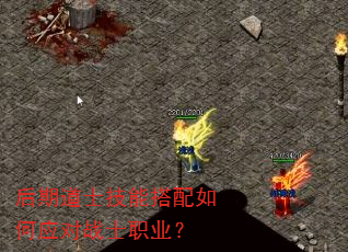 后期道士技能搭配如何应对战士职业? 后期道士技能搭配如何应对战士职业?