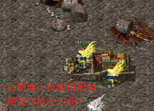 后期道士技能搭配如何应对战士职业? 后期道士技能搭配如何应对战士职业?
