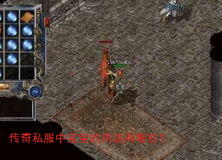 传奇私服中宝宝的用途有哪些? 传奇私服中宝宝的用途有哪些?