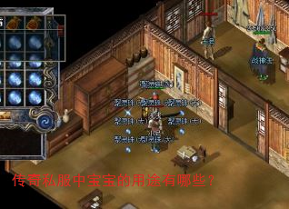 传奇私服中宝宝的用途有哪些? 传奇私服中宝宝的用途有哪些?