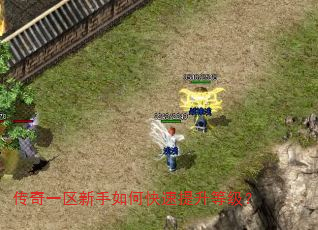 传奇一区新手如何快速提升等级? 传奇一区新手如何快速提升等级?