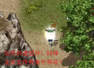 如何快速提升1.85神龙合击传奇角色等级? 如何快速提升1.85神龙合击传奇角色等级?