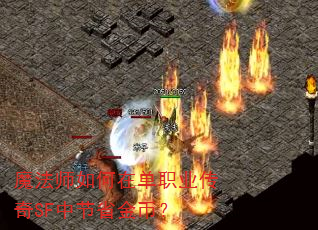 魔法师如何在单职业传奇SF中节省金币? 魔法师如何在单职业传奇SF中节省金币?