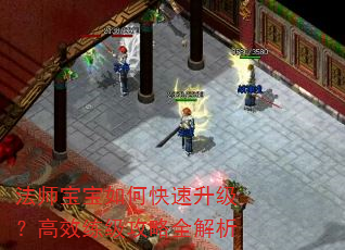 法师宝宝如何快速升级?高效练级攻略全解析 法师宝宝如何快速升级?高效练级攻略全解析