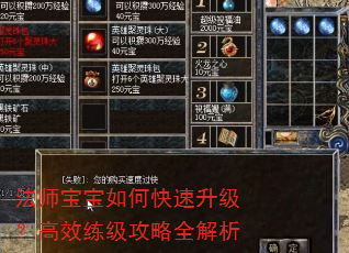 法师宝宝如何快速升级?高效练级攻略全解析 法师宝宝如何快速升级?高效练级攻略全解析