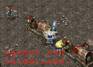 热血传奇SF中,为何群体战斗型道士如此稀缺? 热血传奇SF中,为何群体战斗型道士如此稀缺?