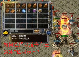 ���ѡ�����ʺ��Լ���DNF˽���汾��