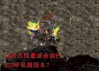 ���ѡ�����ʺ��Լ���DNF˽���汾��