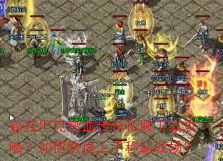 ���̹����Ѫ����˽�����ع��ԣ���ο������ֳư�ս����