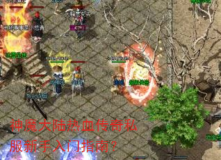 神魔大陆热血传奇私服新手入门指南? 神魔大陆热血传奇私服新手入门指南?