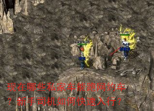 现在哪些私家车能跑网约车?新手司机如何快速入行? 现在哪些私家车能跑网约车?新手司机如何快速入行?