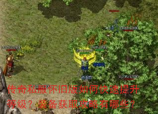 传奇私服怀旧版如何快速提升等级?装备获取攻略有哪些? 传奇私服怀旧版如何快速提升等级?装备获取攻略有哪些?