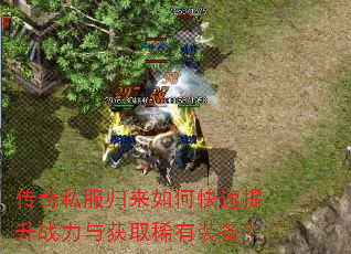 传奇私服归来如何快速提升战力与获取稀有装备? 传奇私服归来如何快速提升战力与获取稀有装备?