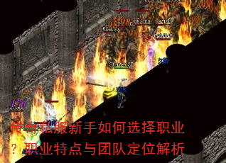 传奇私服新手如何选择职业?职业特点与团队定位解析 传奇私服新手如何选择职业?职业特点与团队定位解析
