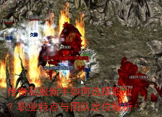 传奇私服新手如何选择职业?职业特点与团队定位解析 传奇私服新手如何选择职业?职业特点与团队定位解析