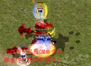 热血传奇私服GM命令在哪里可以查看和使用? 热血传奇私服GM命令在哪里可以查看和使用?