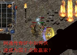 网通传奇SF中如何快速成为国王点数赢家? 网通传奇SF中如何快速成为国王点数赢家?
