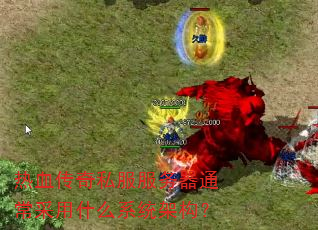 ��Ѫ����˽��������ͨ������ʲôϵͳ�ܹ���