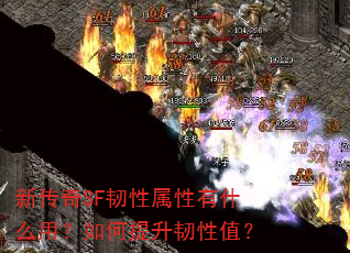 新传奇SF韧性属性有什么用?如何提升韧性值? 新传奇SF韧性属性有什么用?如何提升韧性值?