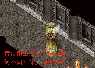 ����ǯ��ͳ����ǯ���кβ�ͬ����Ƚ�������