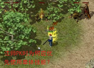 ��ʦPKʱΪ��Ӧ����ʹ�õ��弼�ܣ�