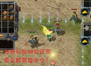 ����˽��GM��β鿴ȫ���������