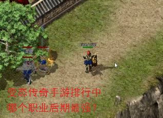变态传奇手游排行中哪个职业后期最强? 变态传奇手游排行中哪个职业后期最强?
