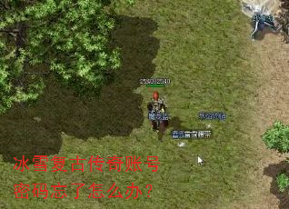 ��ѩ���Ŵ����˺�����������ô�죿