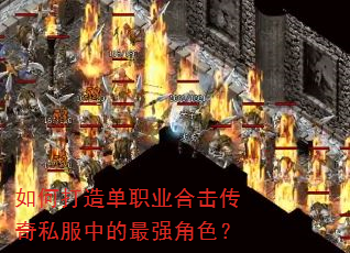 ��δ��쵥ְҵ�ϻ�����˽���е���ǿ��ɫ��