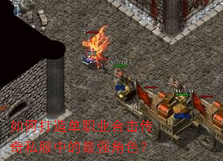 ��δ��쵥ְҵ�ϻ�����˽���е���ǿ��ɫ��