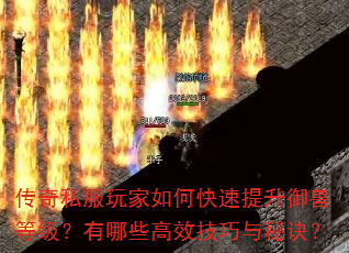 传奇私服玩家如何快速提升御兽等级?有哪些高效技巧与秘诀? 传奇私服玩家如何快速提升御兽等级?有哪些高效技巧与秘诀?
