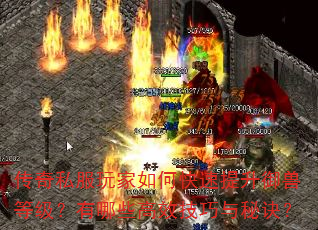 传奇私服玩家如何快速提升御兽等级?有哪些高效技巧与秘诀? 传奇私服玩家如何快速提升御兽等级?有哪些高效技巧与秘诀?