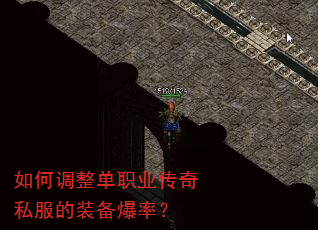 ��ε�����ְҵ����˽����װ�����ʣ�